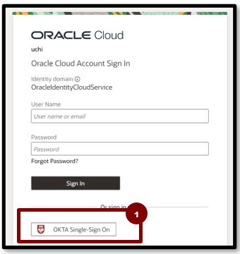 A screenshot of a login box

Description automatically generated
