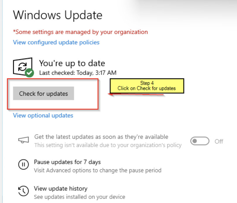 Screenshot 2024-08-01 at 8.29.00 AM.png Windows Check for Updates.png