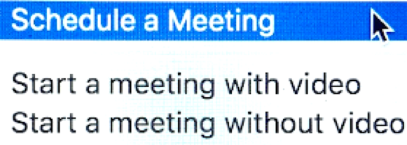 Schedule a Meeting