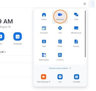 Select Meetings from the Dropdown list
