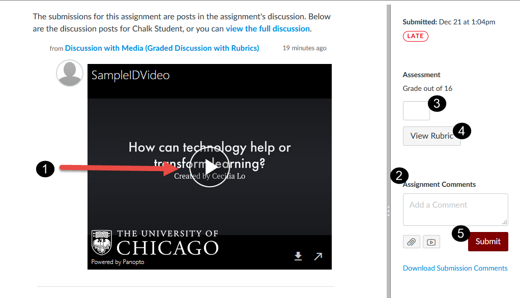 Using SpeedGrader for Video Assignments
