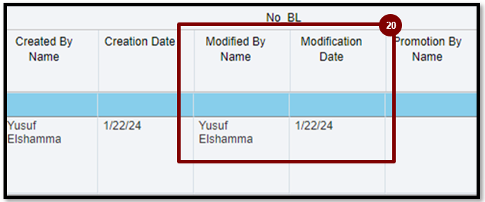A screenshot of a computer

Description automatically generated