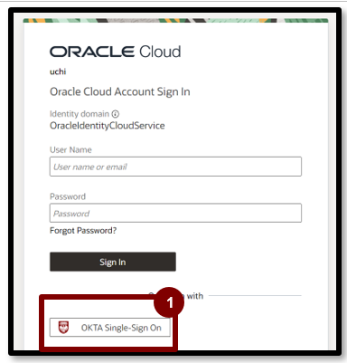 A screenshot of a login page

Description automatically generated