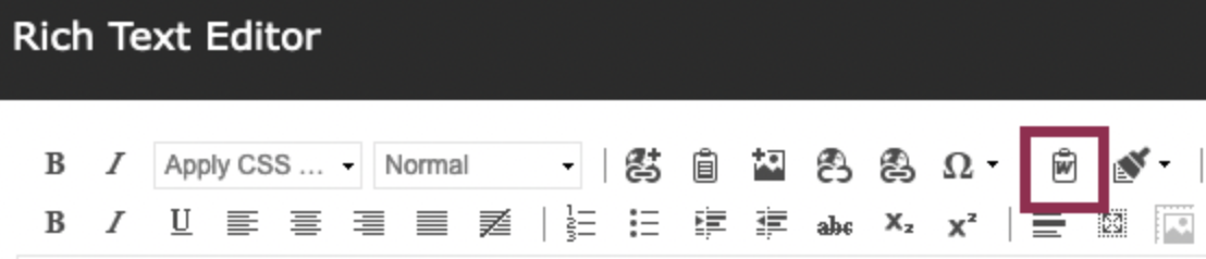 Paste from Word Icon.png