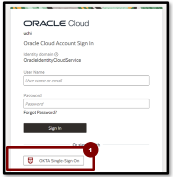 A screenshot of a login page

Description automatically generated