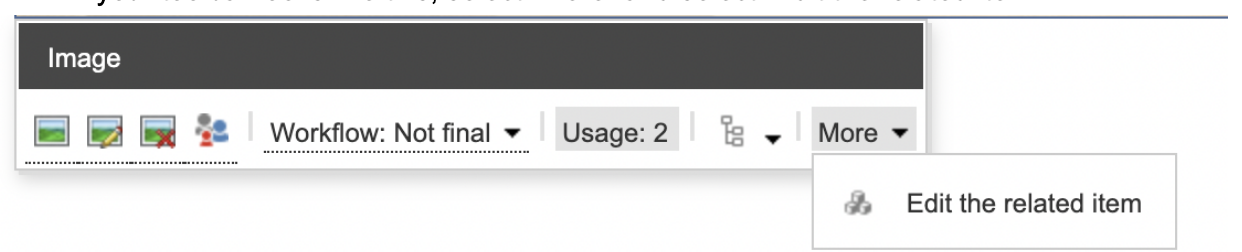 Edit a Related Item (More Toolbar)