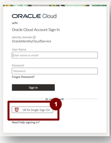 A screenshot of a login page

Description automatically generated