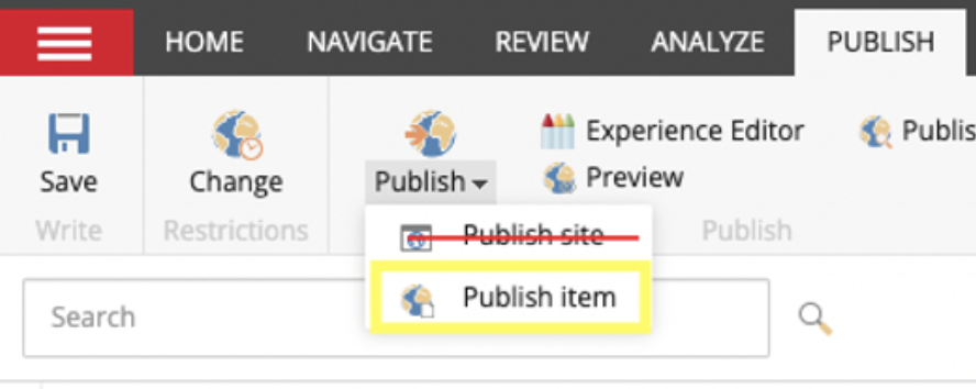 Publish Item