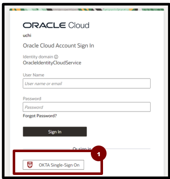 A screenshot of a login page

Description automatically generated