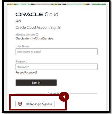 A screenshot of a login box

Description automatically generated
