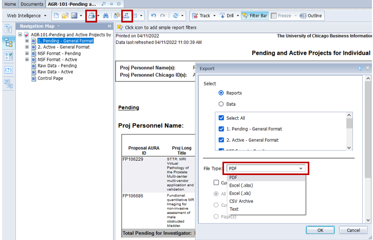 PDF File Type Selected