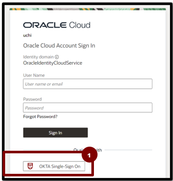 A screenshot of a login box

Description automatically generated