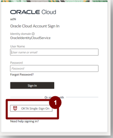 A screenshot of a login page

Description automatically generated